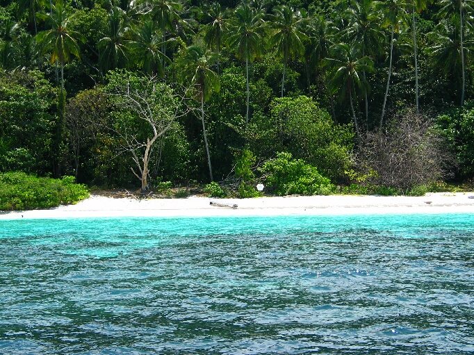 Pulau Tioman / Malaysia - Bild 16